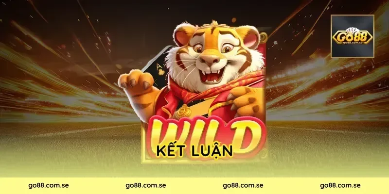 Kết luận